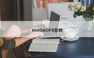 HUIGAOFX官网